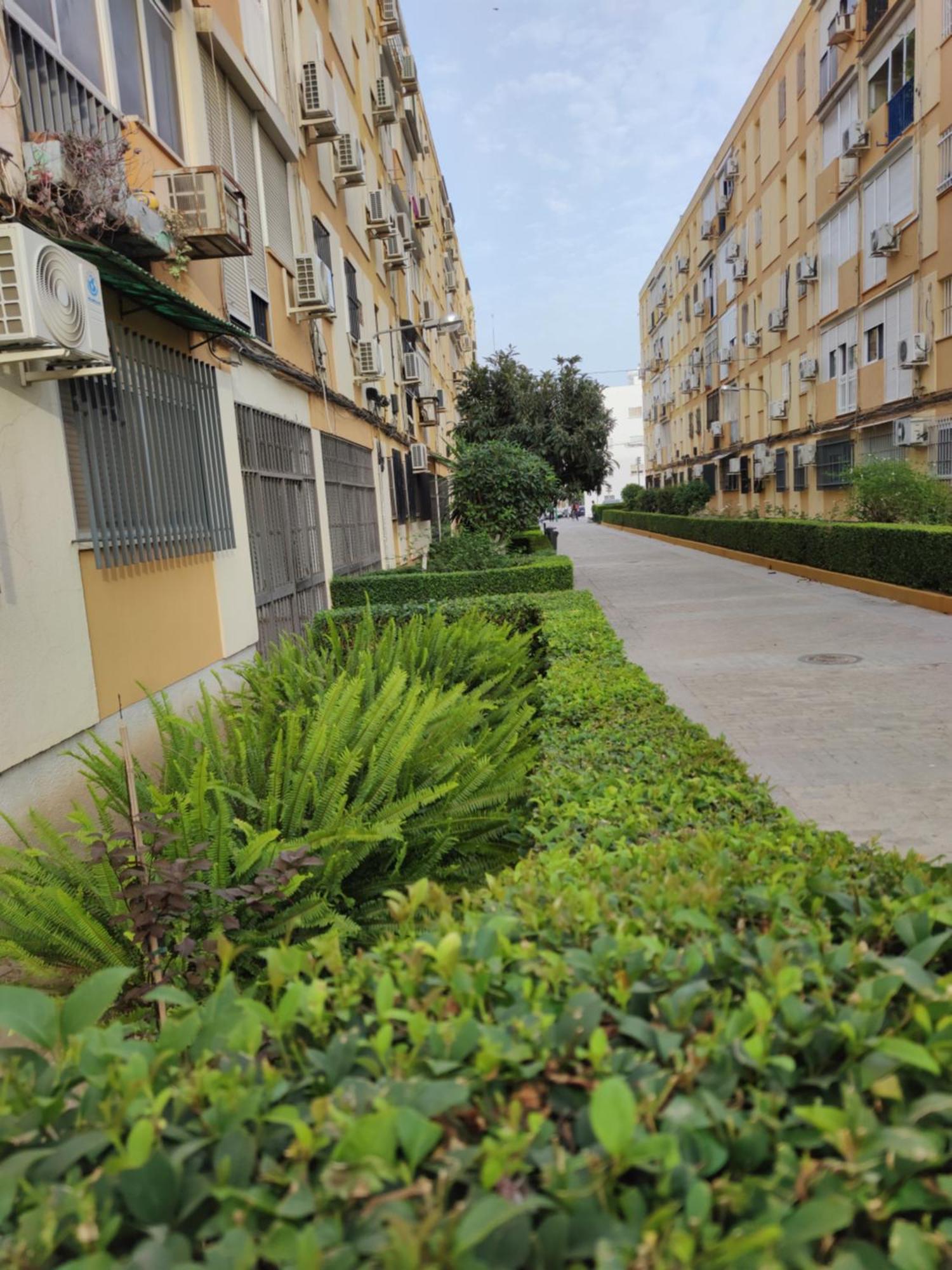 Apartamento Celia Sevilla Eksteriør billede